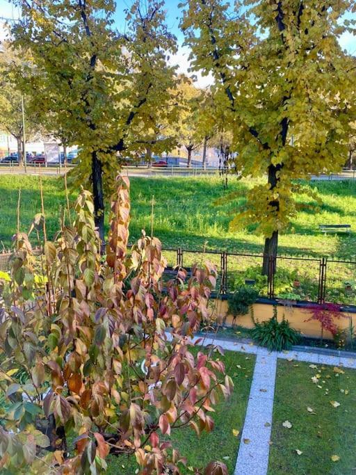 La Casetta Nel Verde In Citta ตูริน ภายนอก รูปภาพ